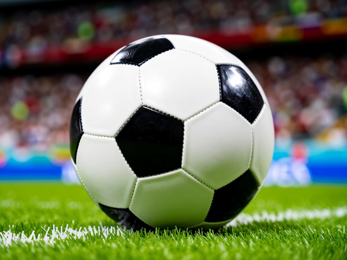 开云体育在线入口-塞尔维亚女足队面对新挑战