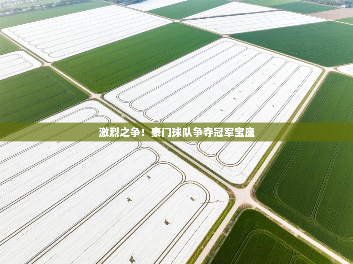 激烈之争！豪门球队争夺冠军宝座  第1张